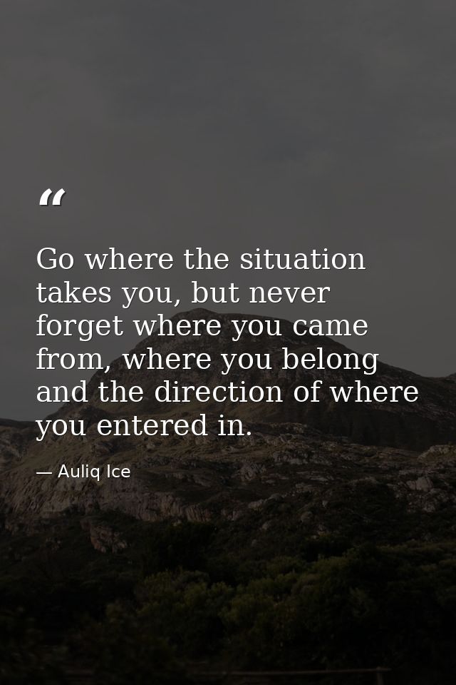 Go where the situation takes you, but never forget where you came from, where you belong and the direction of where you  — Auliq Ice