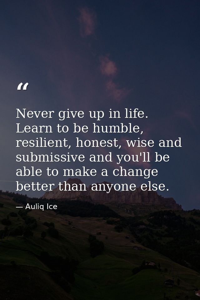 Never give up in life. Learn to be humble, resilient, honest, wise and submissive and you'll be able to make a change be — Auliq Ice