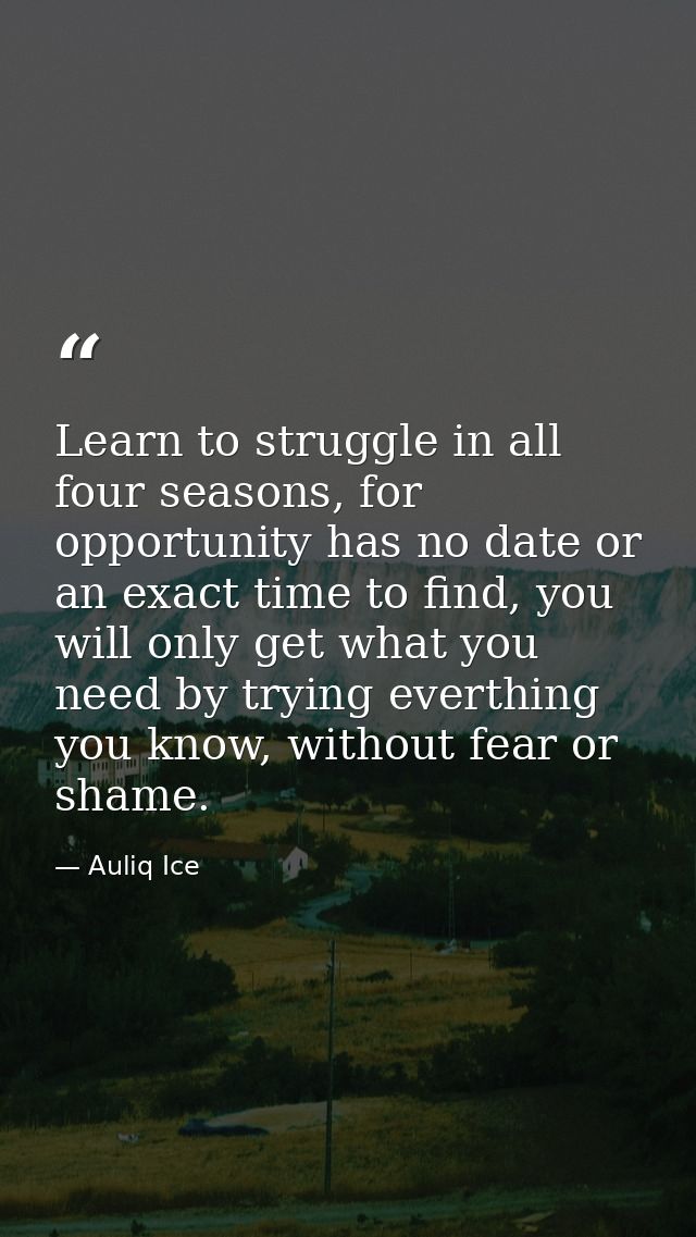 Learn to struggle in all four seasons, for opportunity has no date or an exact time to find, you will only get what you  — Auliq Ice