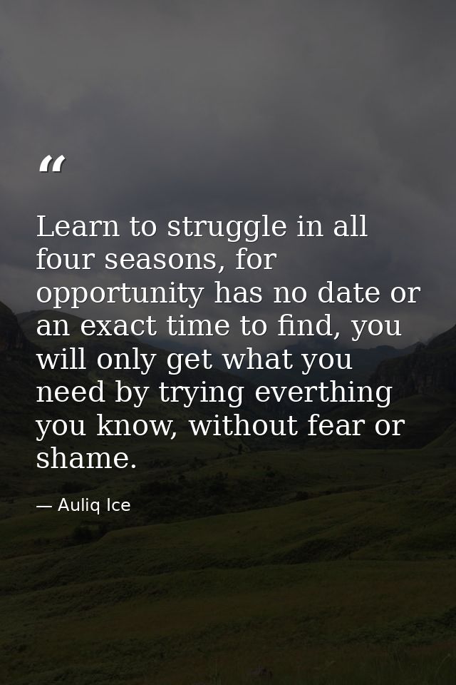 Learn to struggle in all four seasons, for opportunity has no date or an exact time to find, you will only get what you  — Auliq Ice