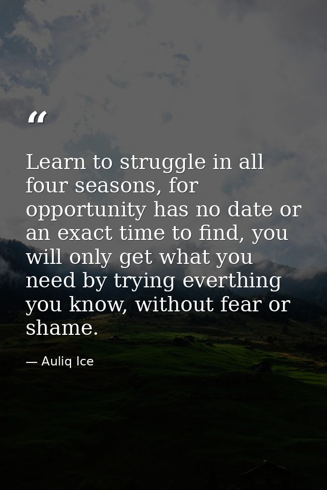 Learn to struggle in all four seasons, for opportunity has no date or an exact time to find, you will only get what you  — Auliq Ice