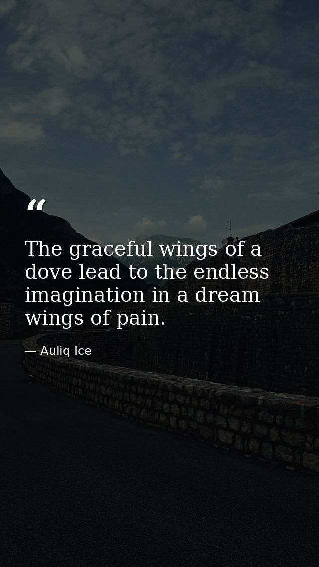 The graceful wings of a dove lead to the endless imagination in a dream wings of pain. — Auliq Ice