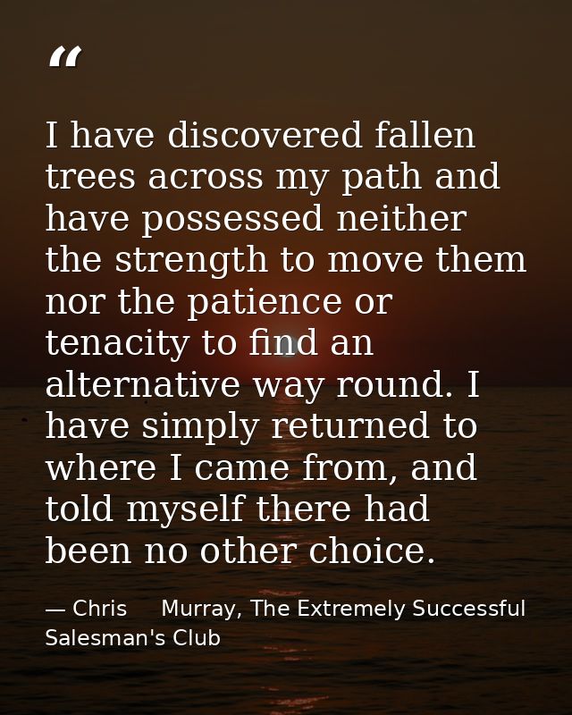 I have discovered fallen trees across my path and have possessed neither the strength to move them nor the patience or t — Chris     Murray, The Extremely Successful Salesman's Club