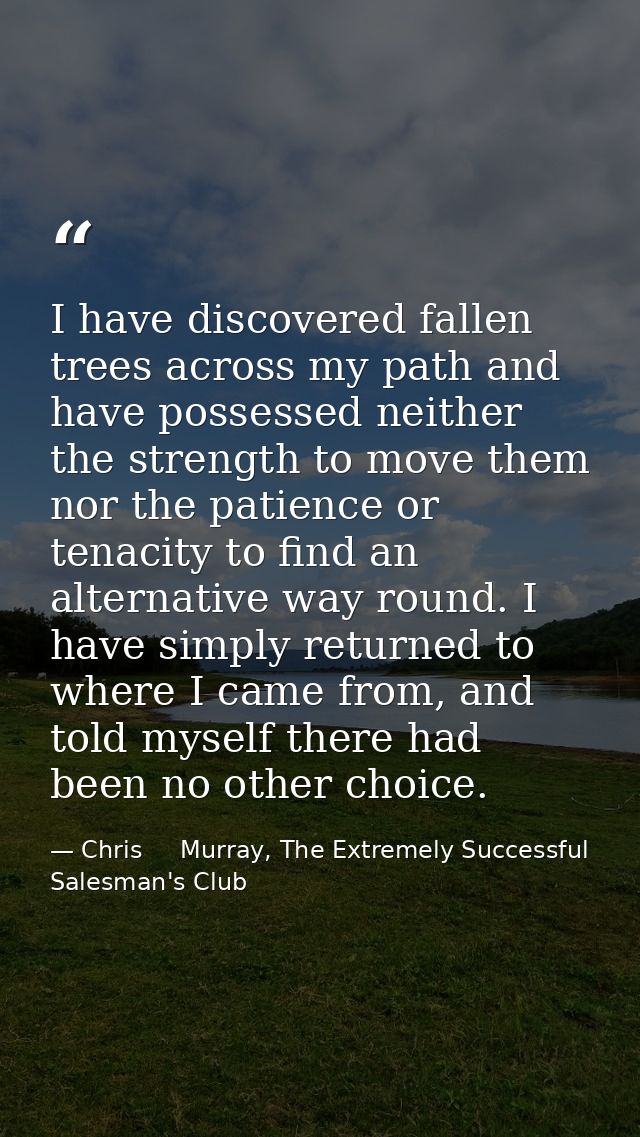 I have discovered fallen trees across my path and have possessed neither the strength to move them nor the patience or t — Chris     Murray, The Extremely Successful Salesman's Club