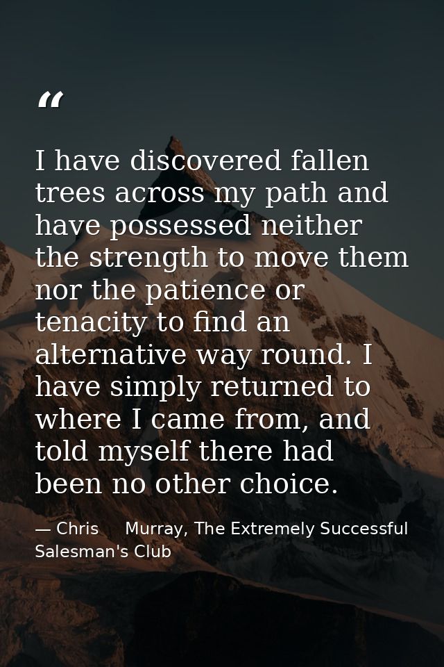 I have discovered fallen trees across my path and have possessed neither the strength to move them nor the patience or t — Chris     Murray, The Extremely Successful Salesman's Club