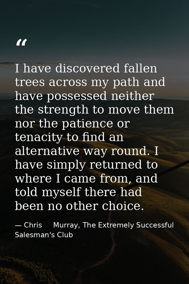 I have discovered fallen trees across my path and have possessed neither the strength to move them nor the patience or t — Chris     Murray, The Extremely Successful Salesman's Club