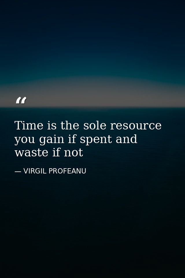 Time is the sole resource you gain if spent and waste if not — VIRGIL PROFEANU