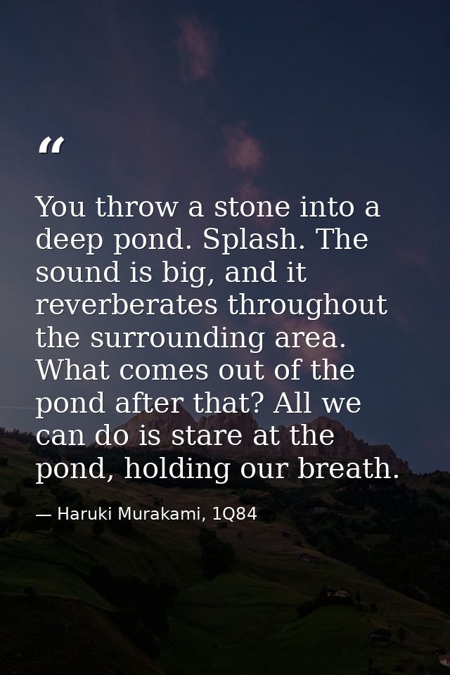 You throw a stone into a deep pond. Splash. The sound is big, and it reverberates throughout the surrounding area. What  — Haruki Murakami, 1Q84
