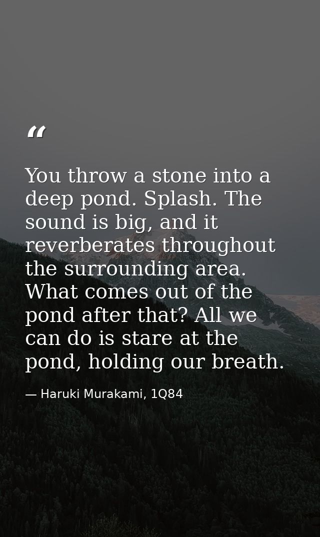 You throw a stone into a deep pond. Splash. The sound is big, and it reverberates throughout the surrounding area. What  — Haruki Murakami, 1Q84