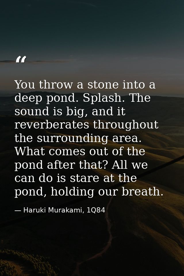 You throw a stone into a deep pond. Splash. The sound is big, and it reverberates throughout the surrounding area. What  — Haruki Murakami, 1Q84