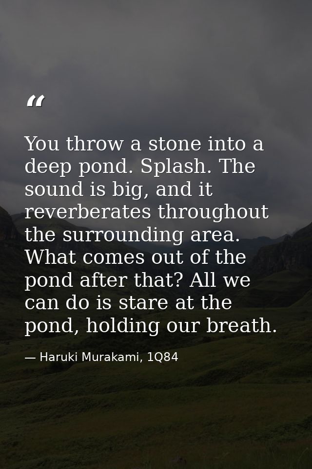 You throw a stone into a deep pond. Splash. The sound is big, and it reverberates throughout the surrounding area. What  — Haruki Murakami, 1Q84