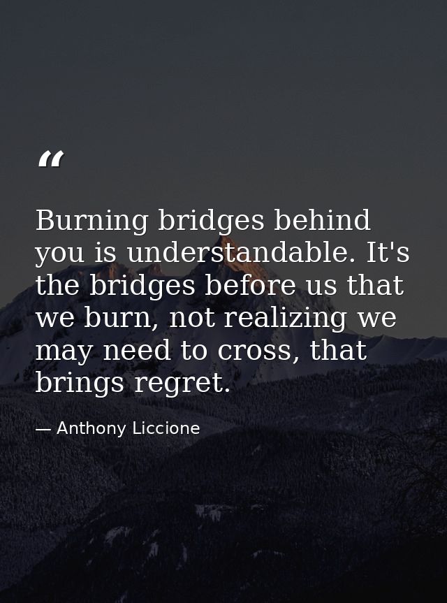 Burning bridges behind you is understandable. It's the bridges before us that we burn, not realizing we may need to cros — Anthony Liccione