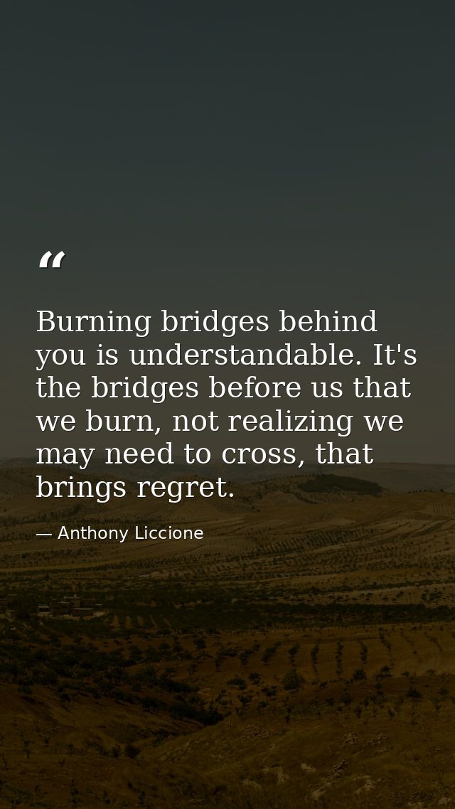 Burning bridges behind you is understandable. It's the bridges before us that we burn, not realizing we may need to cros — Anthony Liccione