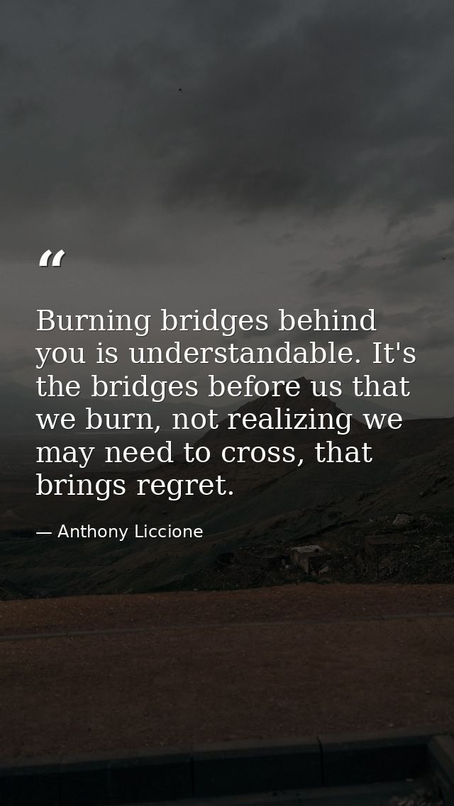 Burning bridges behind you is understandable. It's the bridges before us that we burn, not realizing we may need to cros — Anthony Liccione