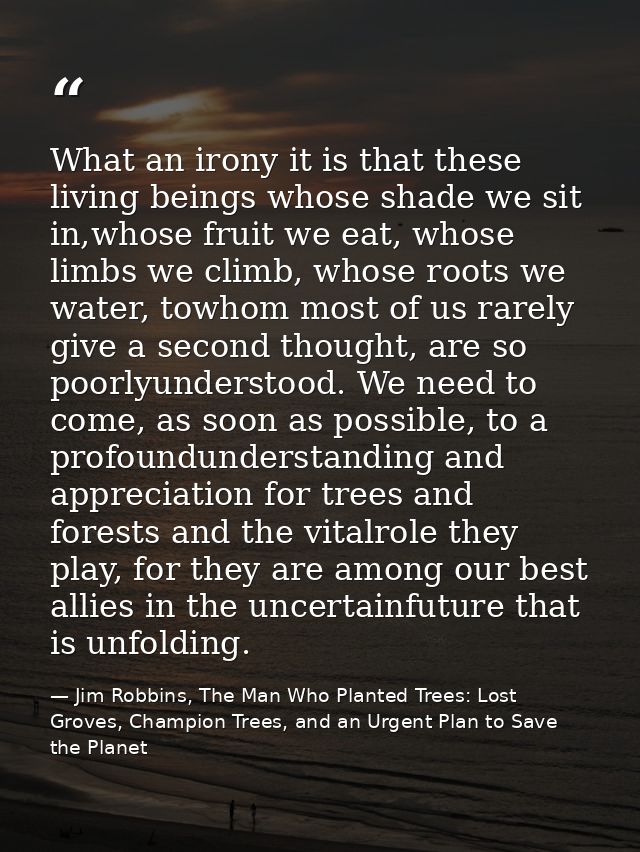 What an irony it is that these living beings whose shade we sit in,whose fruit we eat, whose limbs we climb, whose roots — Jim Robbins, The Man Who Planted Trees: Lost Groves, Champion Trees, and an Urgent Plan to Save the Planet