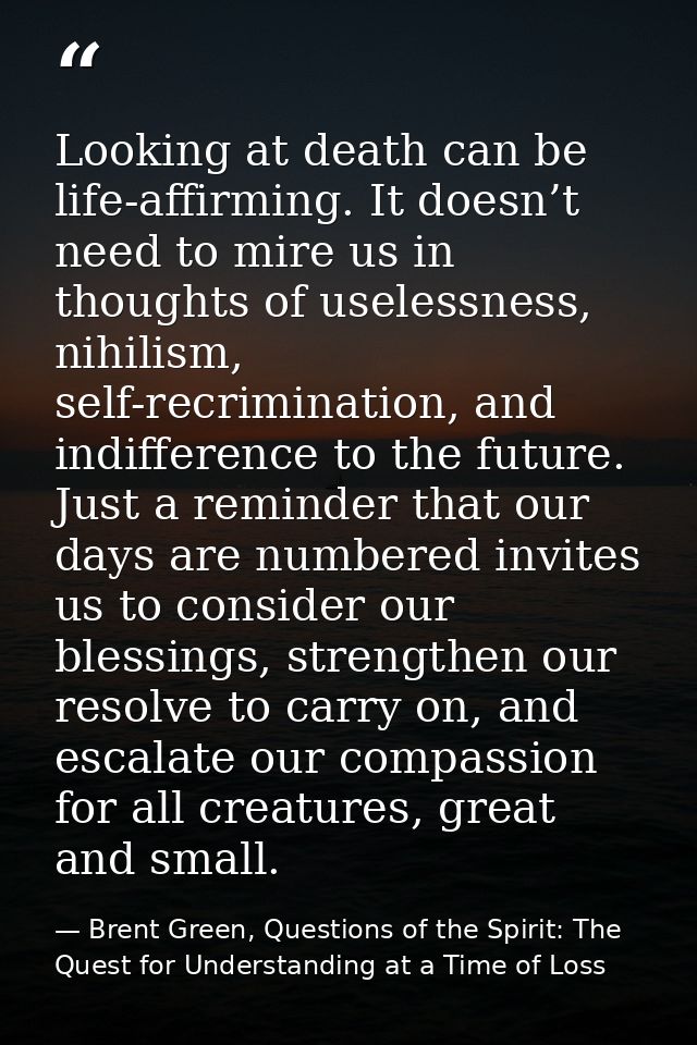 Looking at death can be life-affirming. It doesn’t need to mire us in thoughts of uselessness, nihilism, self-recriminat — Brent Green, Questions of the Spirit: The Quest for Understanding at a Time of Loss