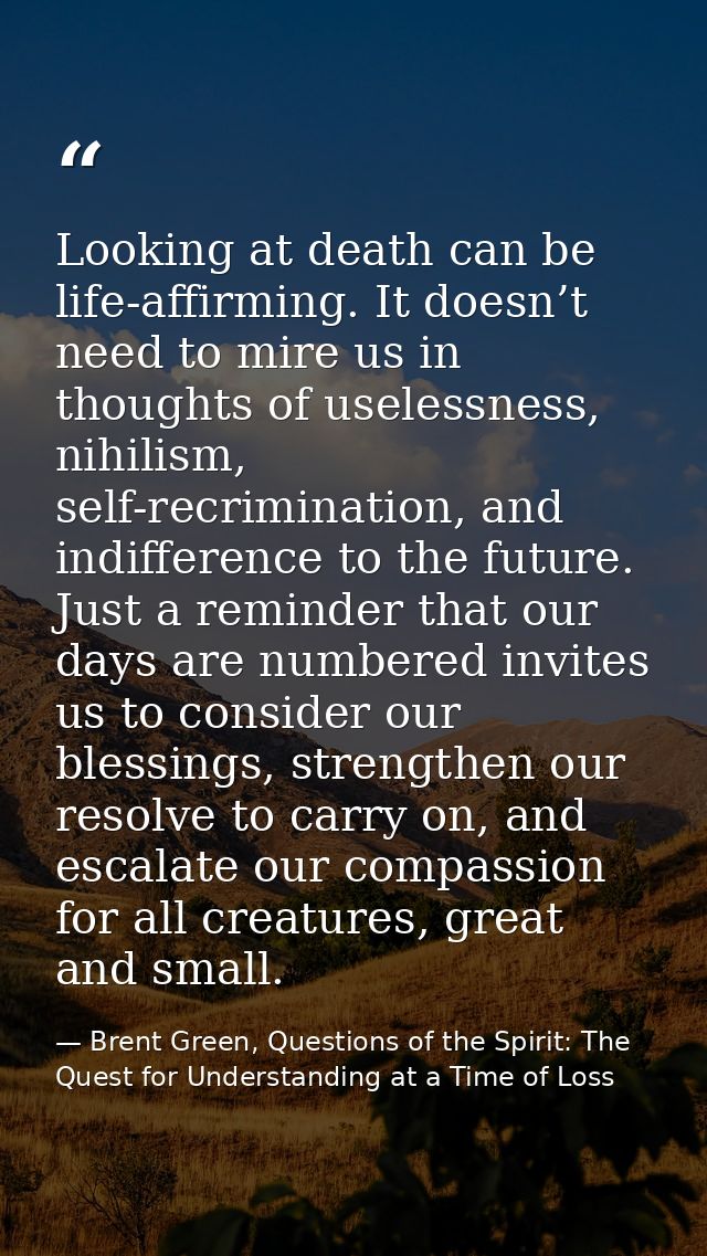 Looking at death can be life-affirming. It doesn’t need to mire us in thoughts of uselessness, nihilism, self-recriminat — Brent Green, Questions of the Spirit: The Quest for Understanding at a Time of Loss