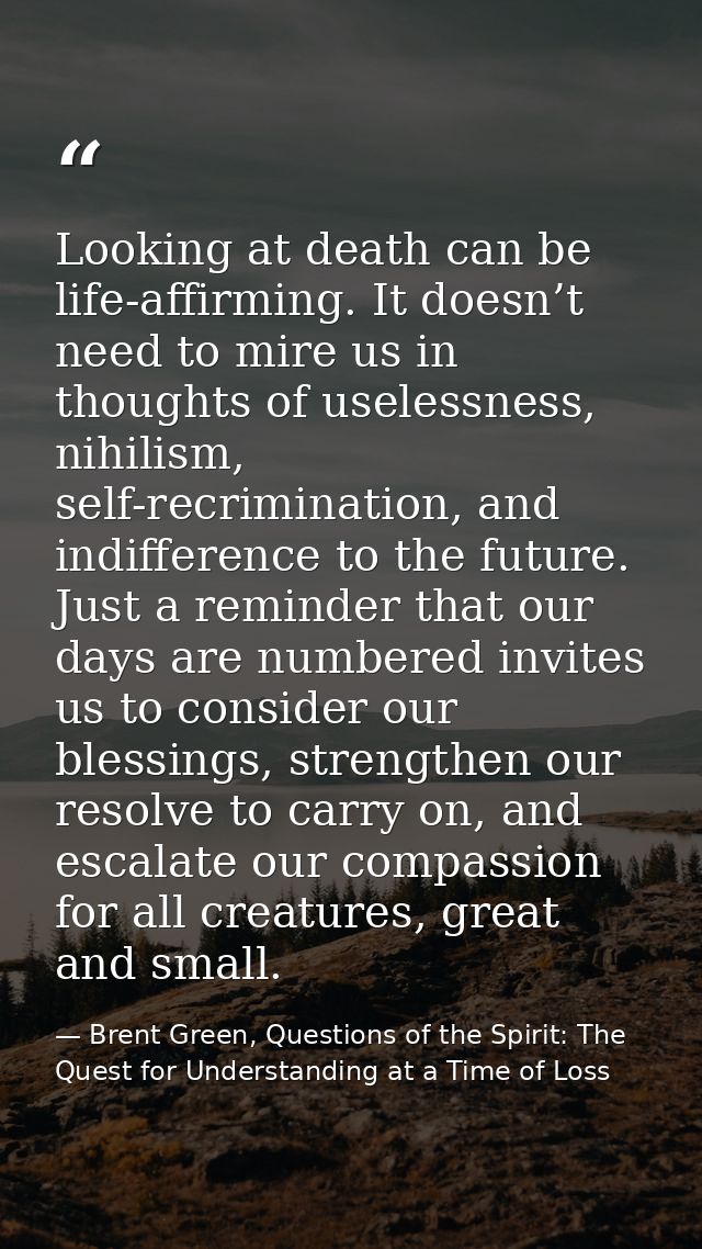 Looking at death can be life-affirming. It doesn’t need to mire us in thoughts of uselessness, nihilism, self-recriminat — Brent Green, Questions of the Spirit: The Quest for Understanding at a Time of Loss