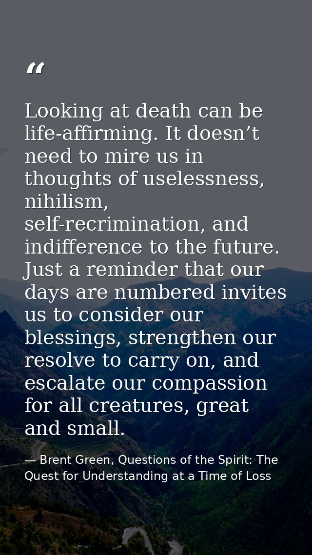 Looking at death can be life-affirming. It doesn’t need to mire us in thoughts of uselessness, nihilism, self-recriminat — Brent Green, Questions of the Spirit: The Quest for Understanding at a Time of Loss