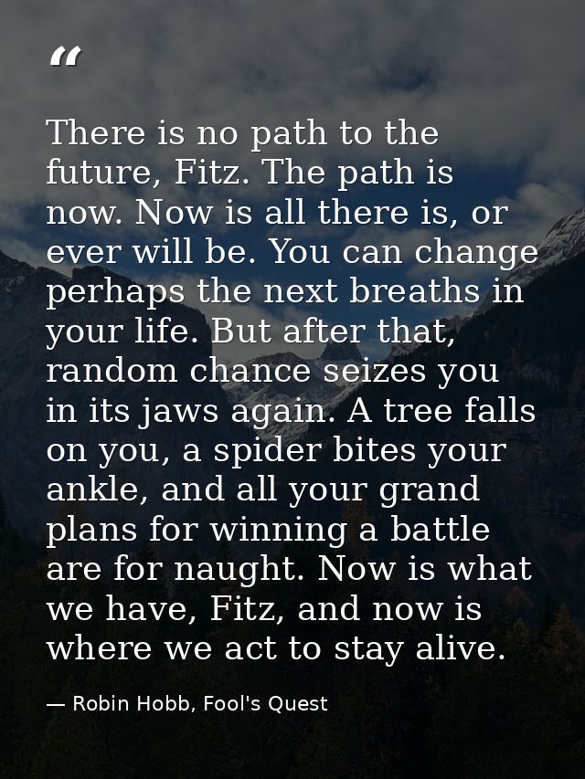 There is no path to the future, Fitz. The path is now. Now is all there is, or ever will be. You can change perhaps the  — Robin Hobb, Fool's Quest