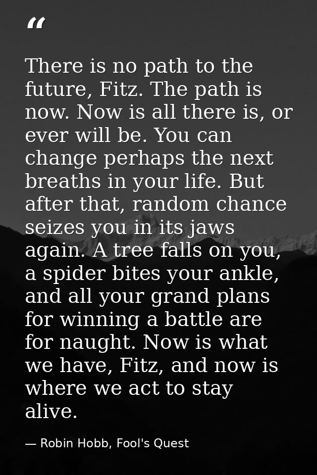 There is no path to the future, Fitz. The path is now. Now is all there is, or ever will be. You can change perhaps the  — Robin Hobb, Fool's Quest