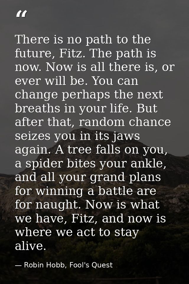 There is no path to the future, Fitz. The path is now. Now is all there is, or ever will be. You can change perhaps the  — Robin Hobb, Fool's Quest