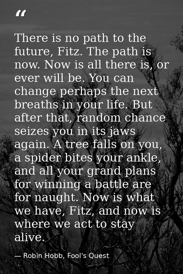 There is no path to the future, Fitz. The path is now. Now is all there is, or ever will be. You can change perhaps the  — Robin Hobb, Fool's Quest