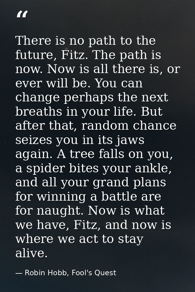There is no path to the future, Fitz. The path is now. Now is all there is, or ever will be. You can change perhaps the  — Robin Hobb, Fool's Quest