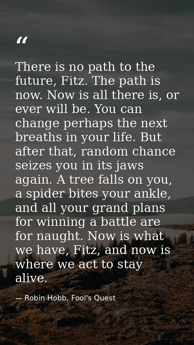 There is no path to the future, Fitz. The path is now. Now is all there is, or ever will be. You can change perhaps the  — Robin Hobb, Fool's Quest