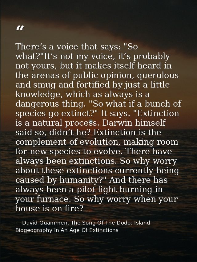 There’s a voice that says: "So what?"It’s not my voice, it’s probably not yours, but it makes itself heard in the arenas — David Quammen, The Song Of The Dodo: Island Biogeography In An Age Of Extinctions