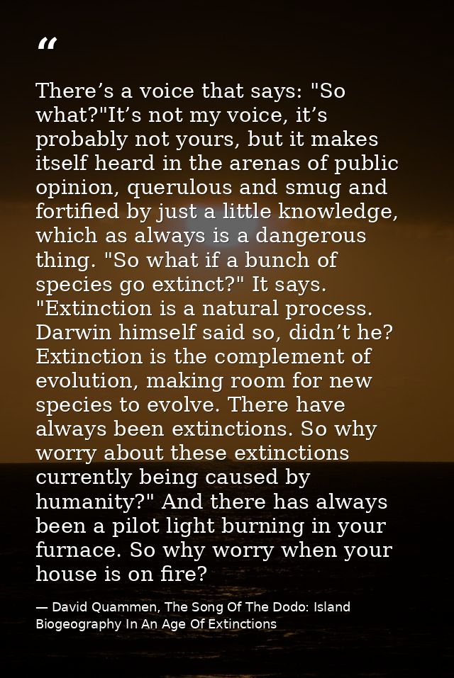 There’s a voice that says: "So what?"It’s not my voice, it’s probably not yours, but it makes itself heard in the arenas — David Quammen, The Song Of The Dodo: Island Biogeography In An Age Of Extinctions
