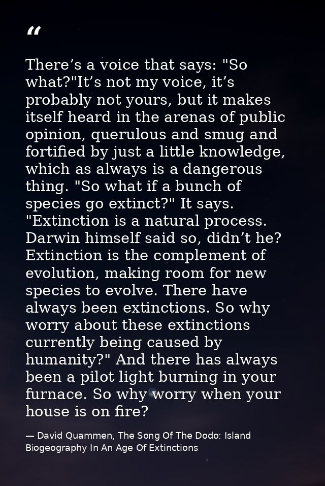 There’s a voice that says: "So what?"It’s not my voice, it’s probably not yours, but it makes itself heard in the arenas — David Quammen, The Song Of The Dodo: Island Biogeography In An Age Of Extinctions