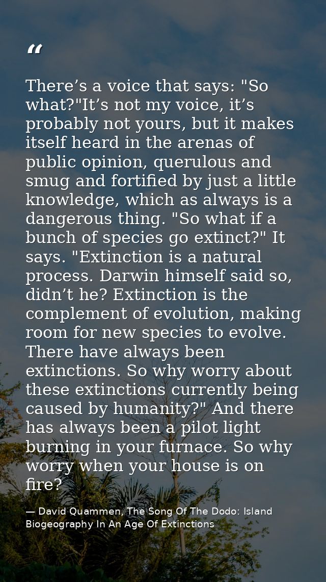 There’s a voice that says: "So what?"It’s not my voice, it’s probably not yours, but it makes itself heard in the arenas — David Quammen, The Song Of The Dodo: Island Biogeography In An Age Of Extinctions