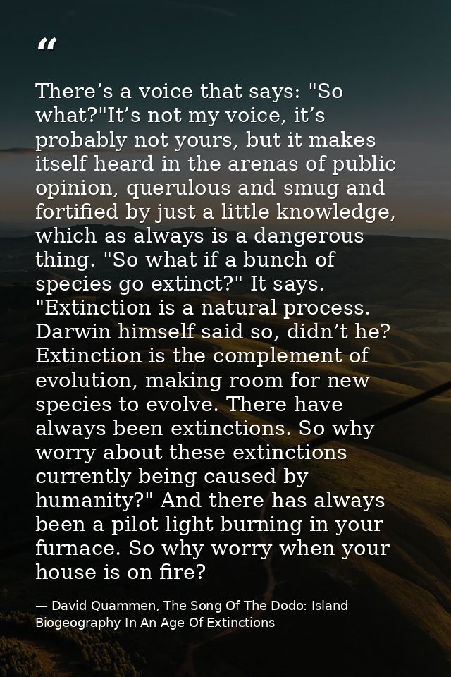 There’s a voice that says: "So what?"It’s not my voice, it’s probably not yours, but it makes itself heard in the arenas — David Quammen, The Song Of The Dodo: Island Biogeography In An Age Of Extinctions