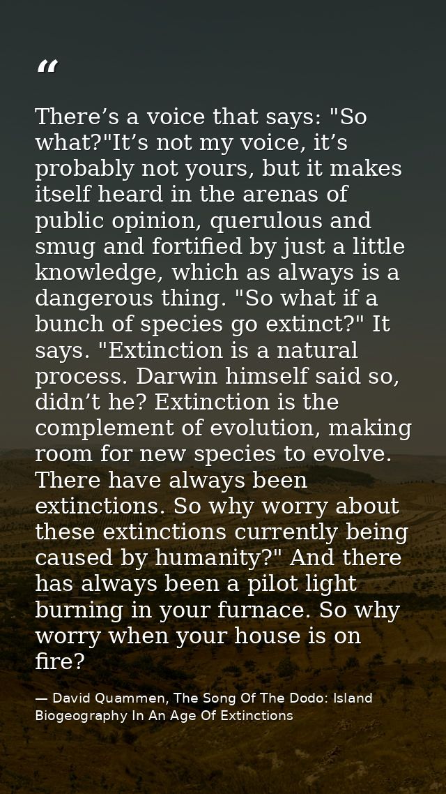 There’s a voice that says: "So what?"It’s not my voice, it’s probably not yours, but it makes itself heard in the arenas — David Quammen, The Song Of The Dodo: Island Biogeography In An Age Of Extinctions