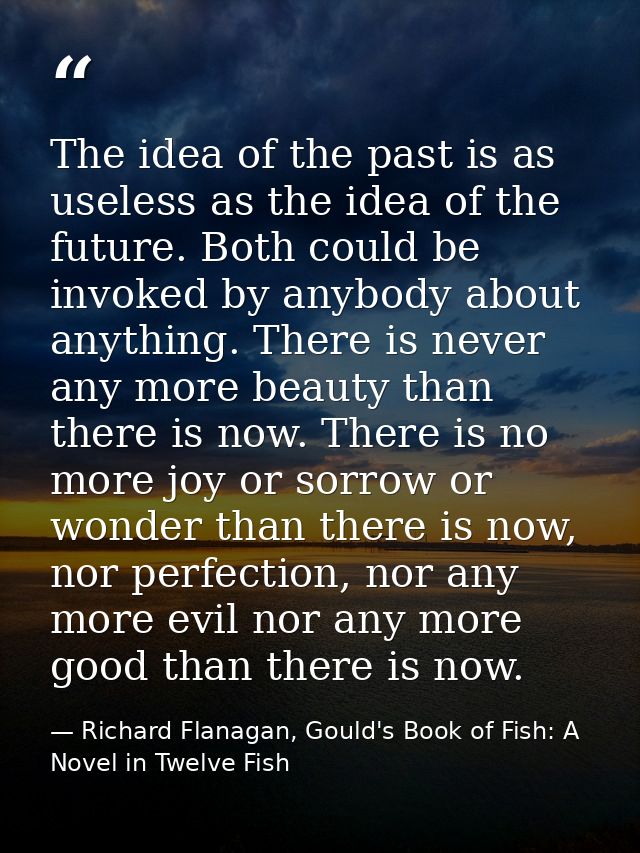 The idea of the past is as useless as the idea of the future. Both could be invoked by anybody about anything. There is  — Richard Flanagan, Gould's Book of Fish: A Novel in Twelve Fish