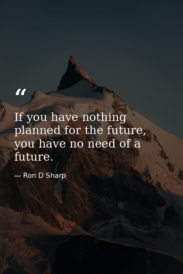 If you have nothing planned for the future, you have no need of a future. — Ron D Sharp