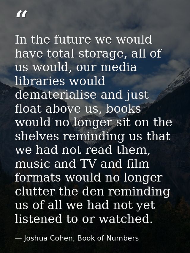 In the future we would have total storage, all of us would, our media libraries would dematerialise and just float above — Joshua Cohen, Book of Numbers