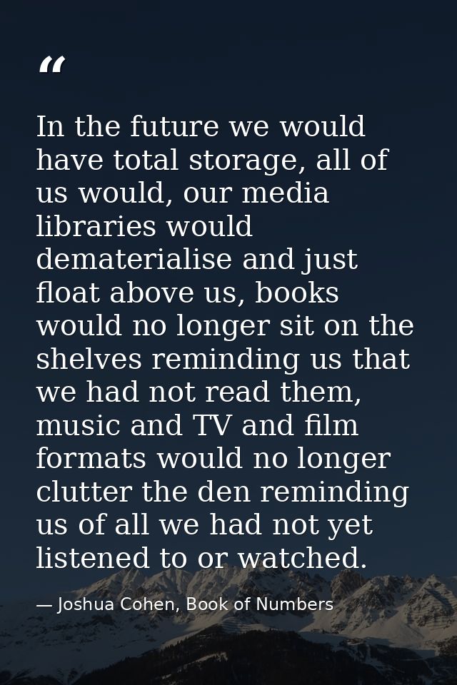 In the future we would have total storage, all of us would, our media libraries would dematerialise and just float above — Joshua Cohen, Book of Numbers