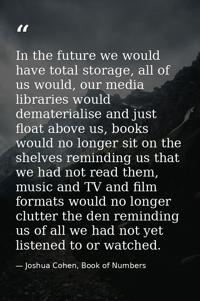 In the future we would have total storage, all of us would, our media libraries would dematerialise and just float above — Joshua Cohen, Book of Numbers