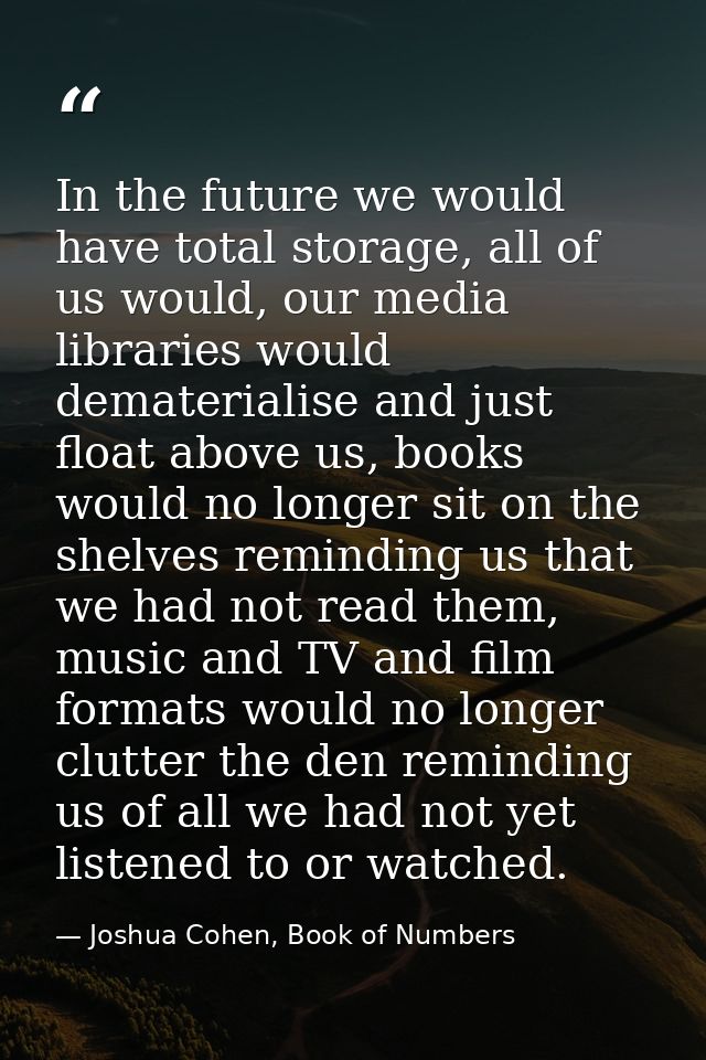 In the future we would have total storage, all of us would, our media libraries would dematerialise and just float above — Joshua Cohen, Book of Numbers