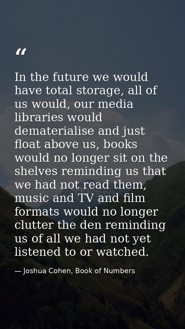 In the future we would have total storage, all of us would, our media libraries would dematerialise and just float above — Joshua Cohen, Book of Numbers