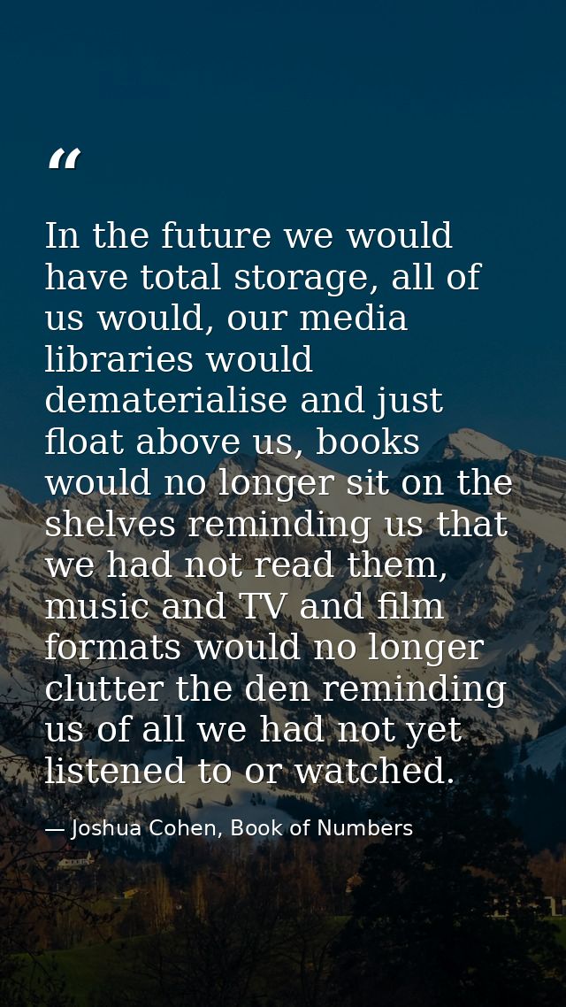 In the future we would have total storage, all of us would, our media libraries would dematerialise and just float above — Joshua Cohen, Book of Numbers