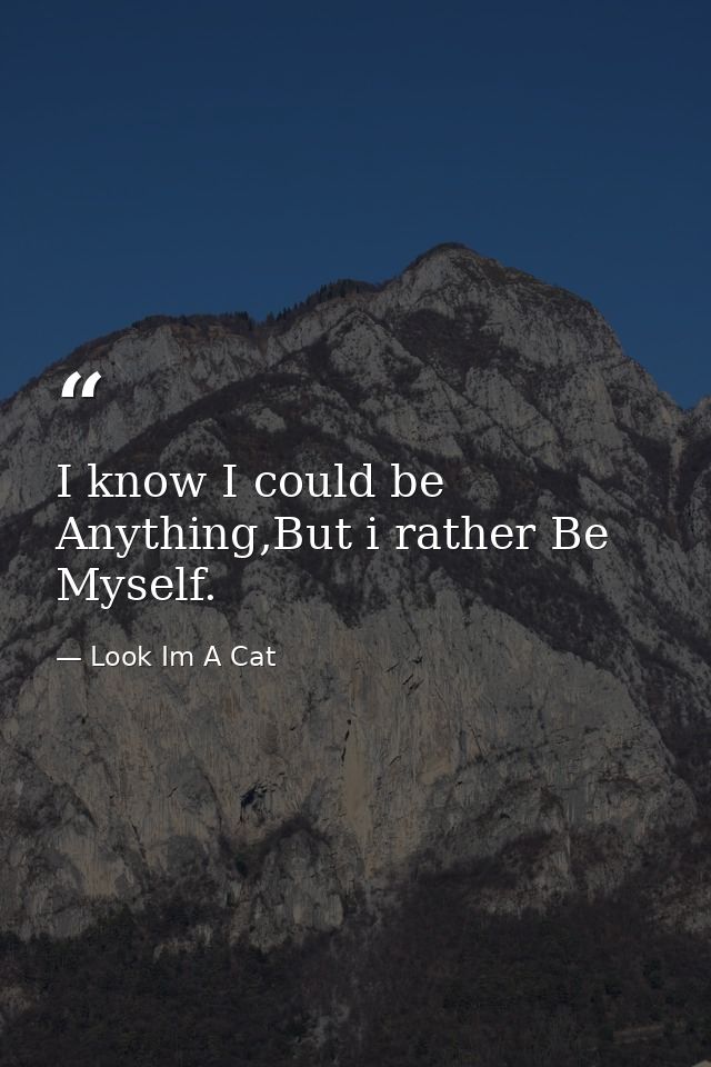 I know I could be Anything,But i rather Be Myself. — Look Im A Cat