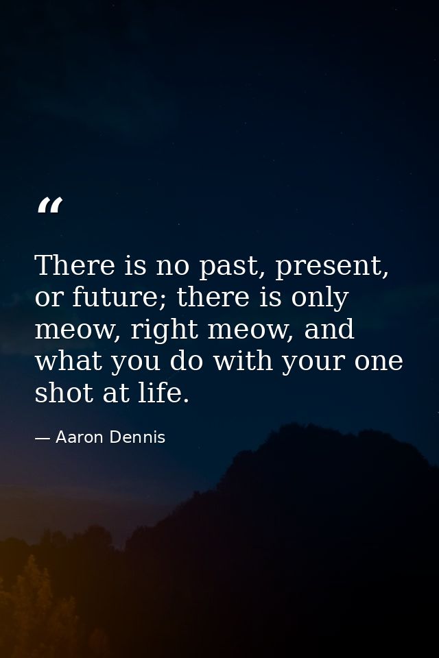 There is no past, present, or future; there is only meow, right meow, and what you do with your one shot at life. — Aaron Dennis