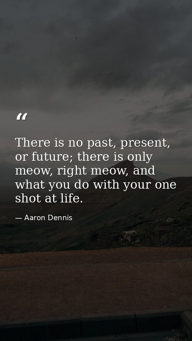 There is no past, present, or future; there is only meow, right meow, and what you do with your one shot at life. — Aaron Dennis