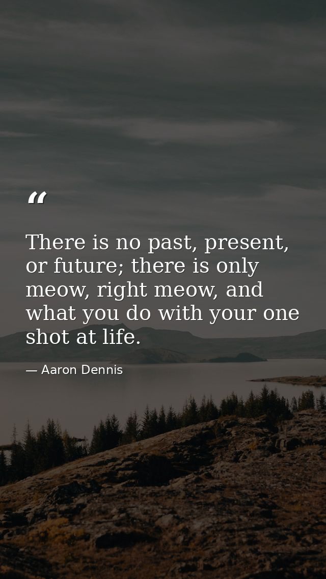 There is no past, present, or future; there is only meow, right meow, and what you do with your one shot at life. — Aaron Dennis