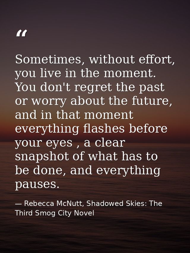 Sometimes, without effort, you live in the moment. You don't regret the past or worry about the future, and in that mome — Rebecca McNutt, Shadowed Skies: The Third Smog City Novel