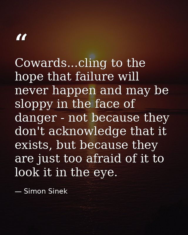 Cowards...cling to the hope that failure will never happen and may be sloppy in the face of danger - not because they do — Simon Sinek