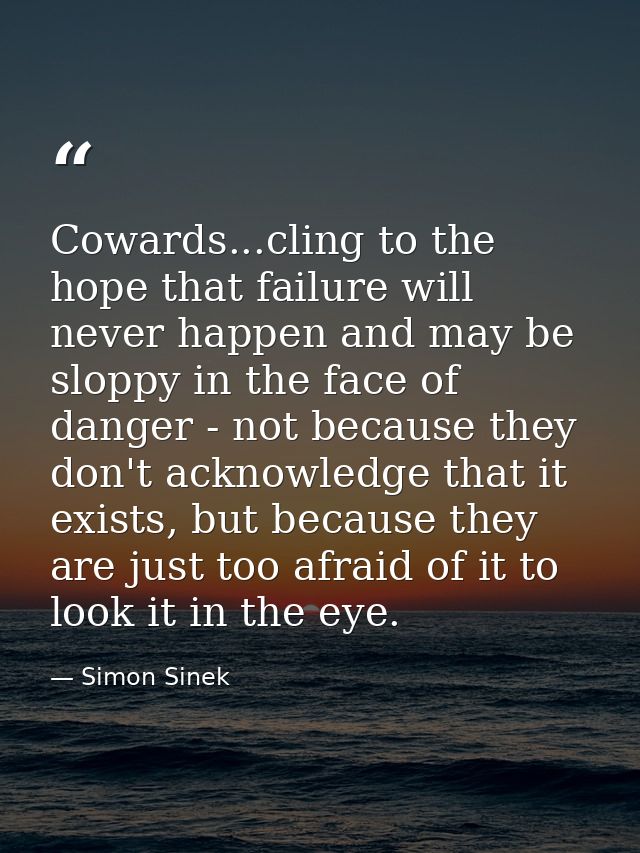 Cowards...cling to the hope that failure will never happen and may be sloppy in the face of danger - not because they do — Simon Sinek